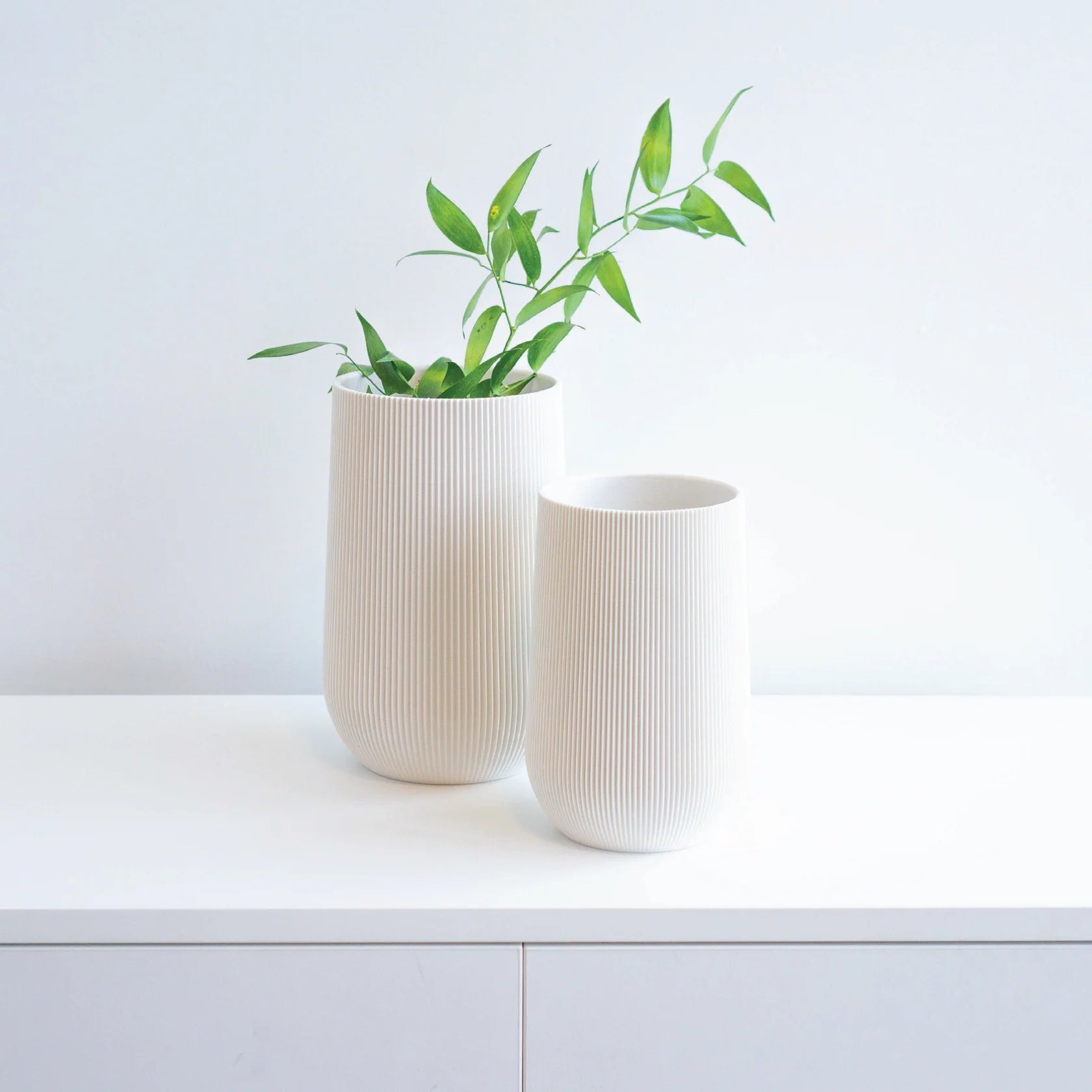 Sequoia Vase