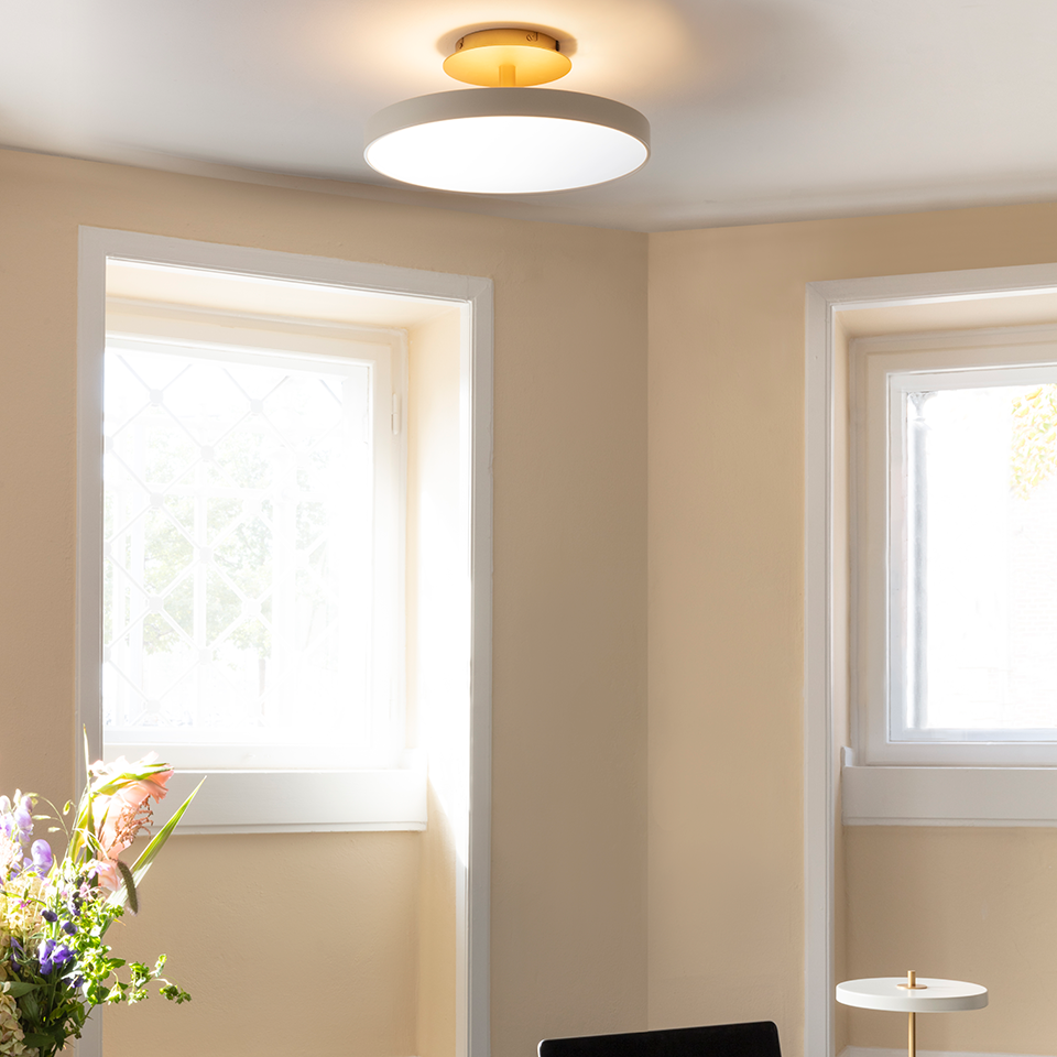 UMAGE Asteria Up Ceiling Lamp
