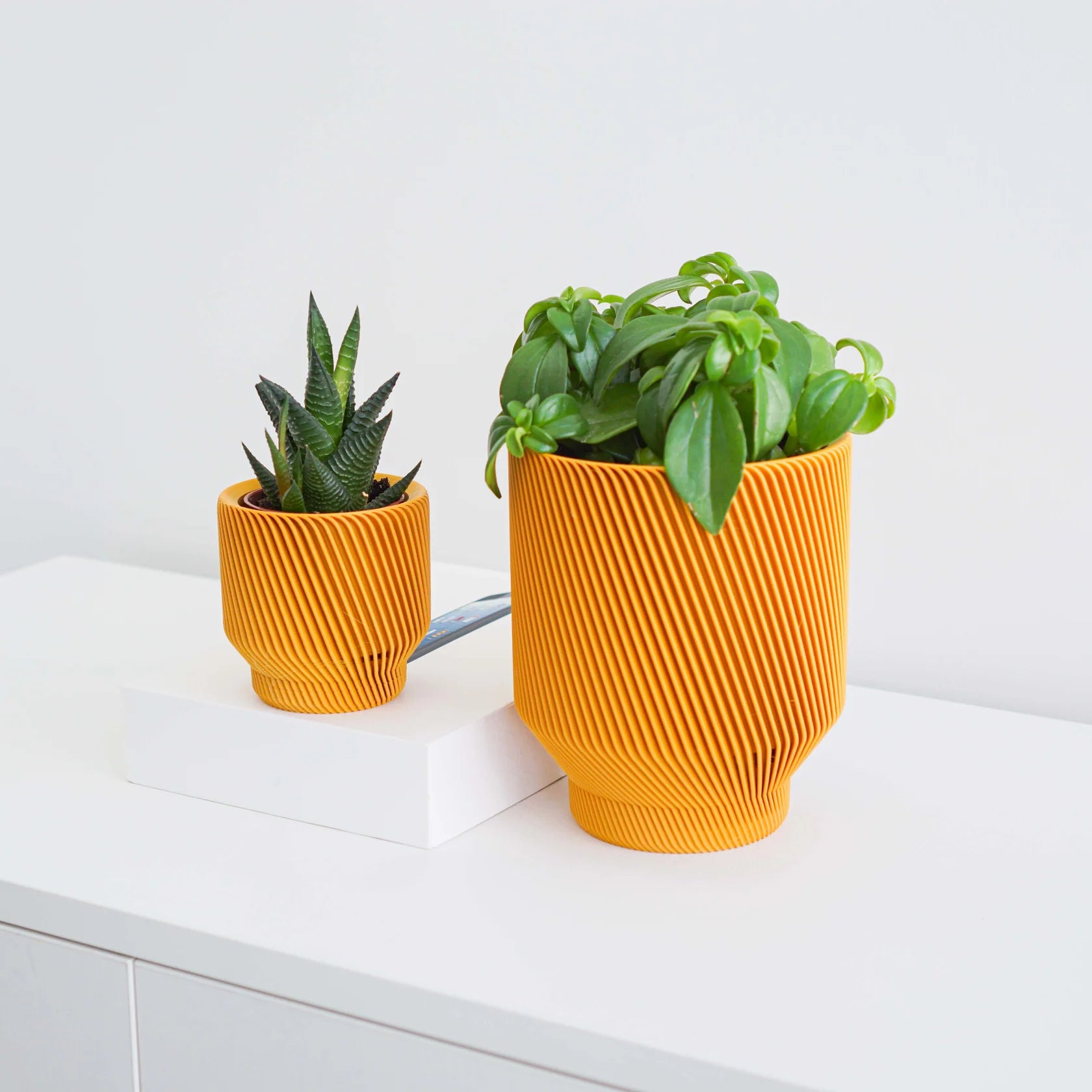 Spruce Planter