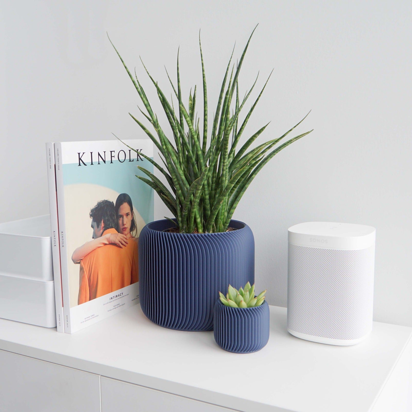 Pine Planter