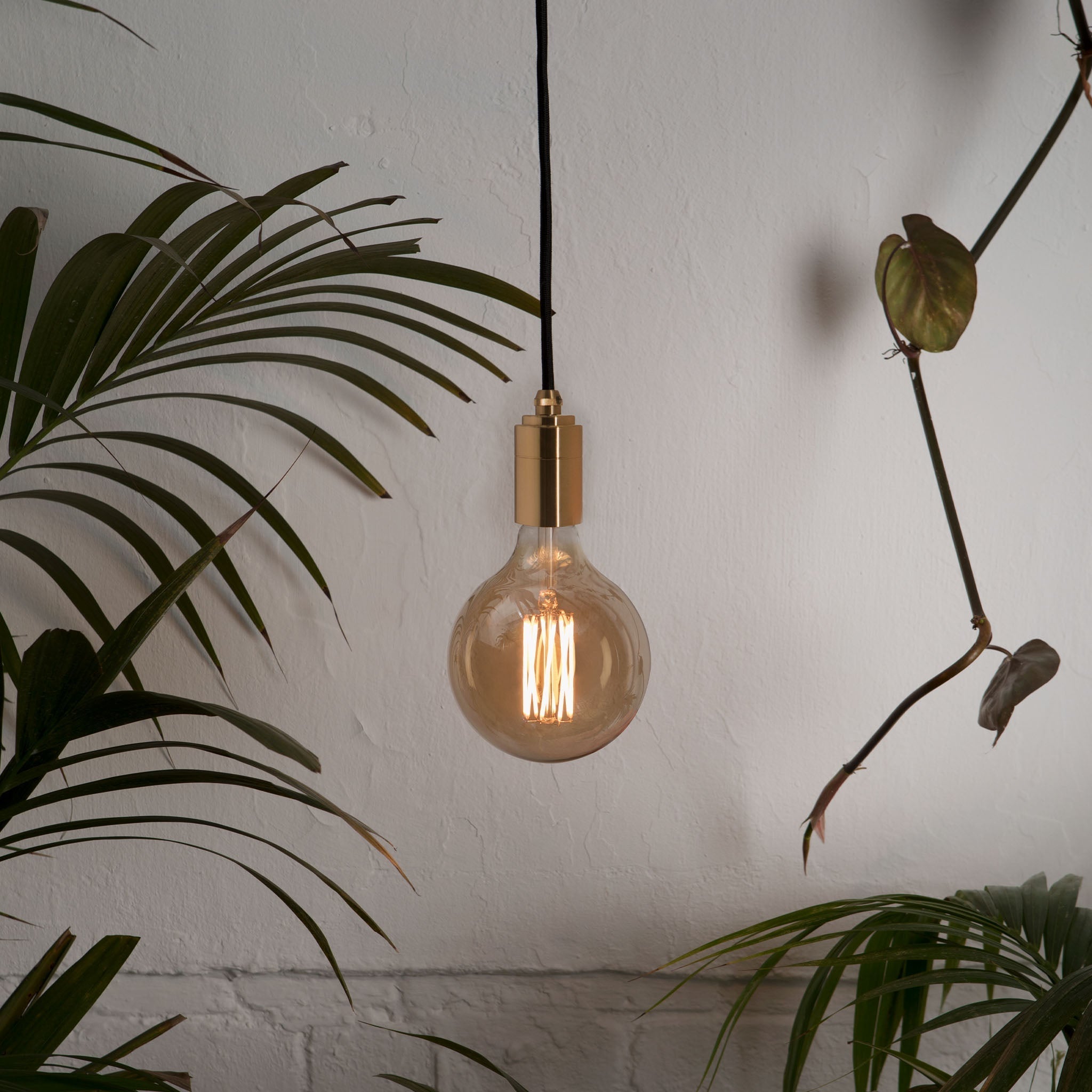 Detail of the cable and canopy on the Gaia Pendant Light in Brass