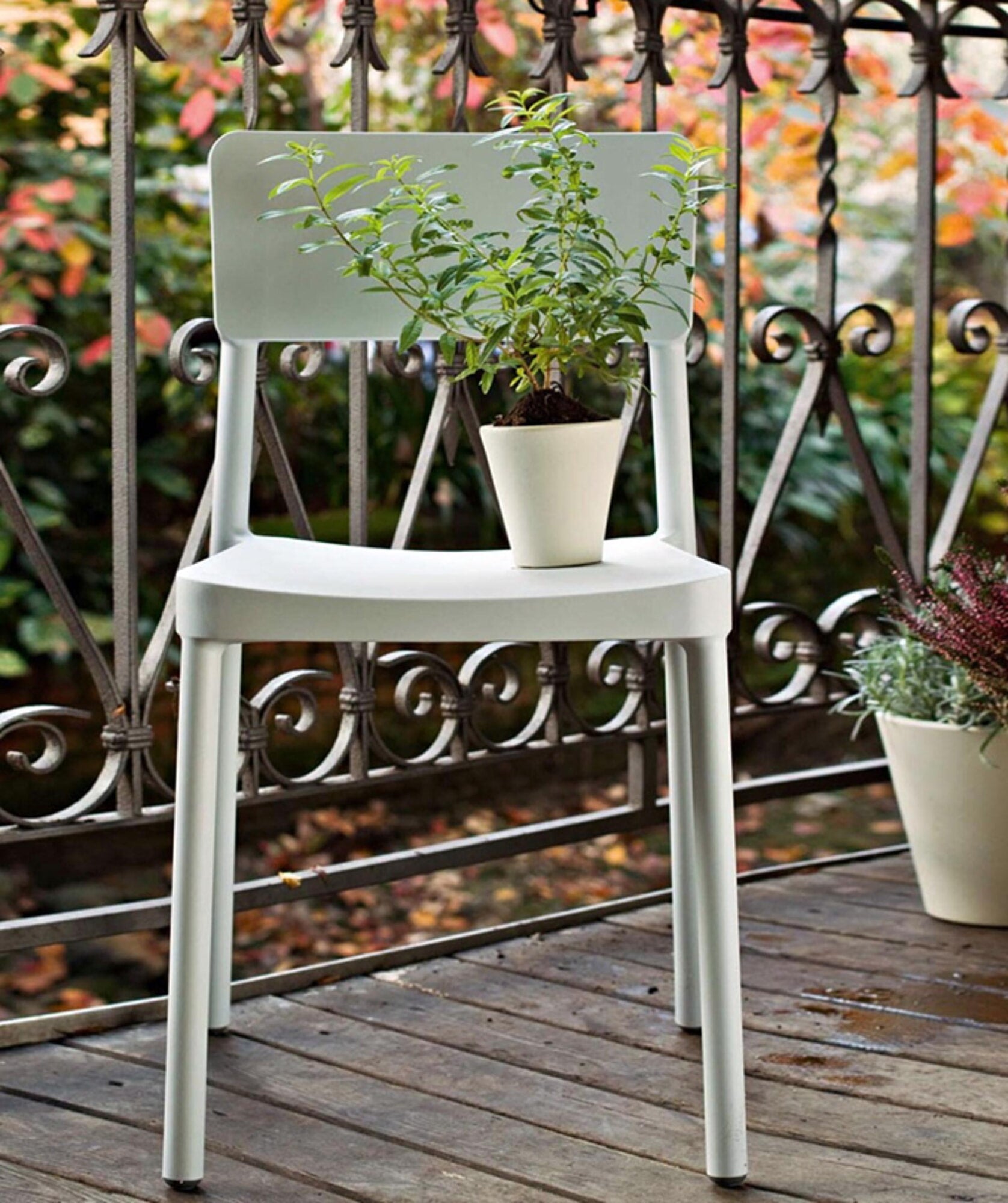 Lisboa Chair (Set of 4)