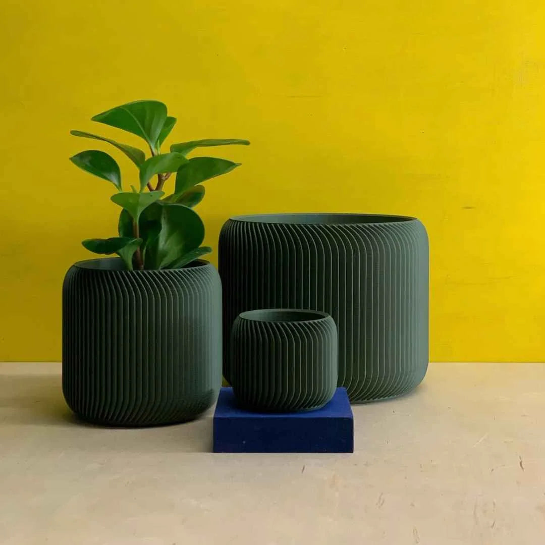Pine Planter