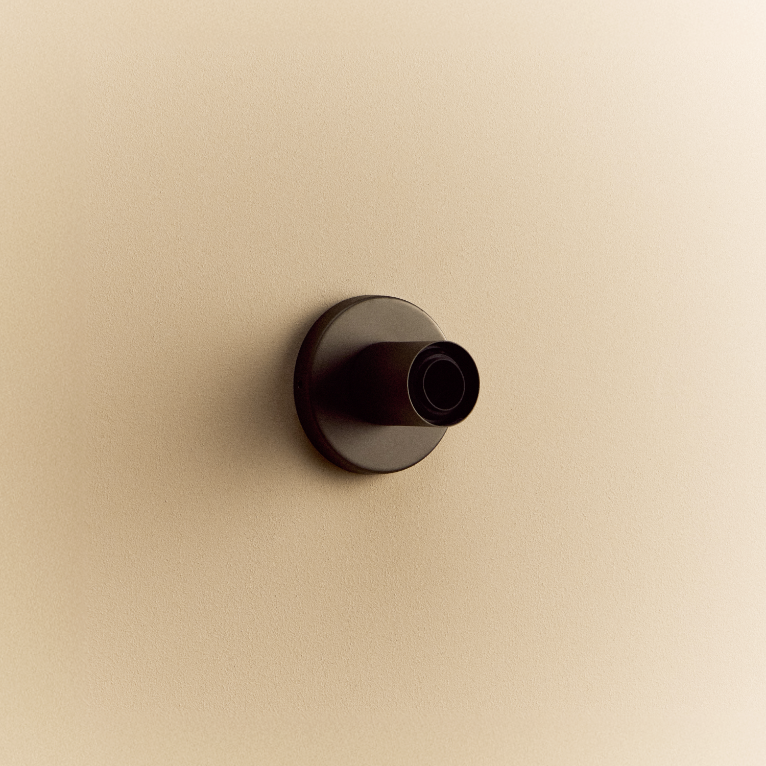 Lochan Wall Light in Graphite, fixture without bulb