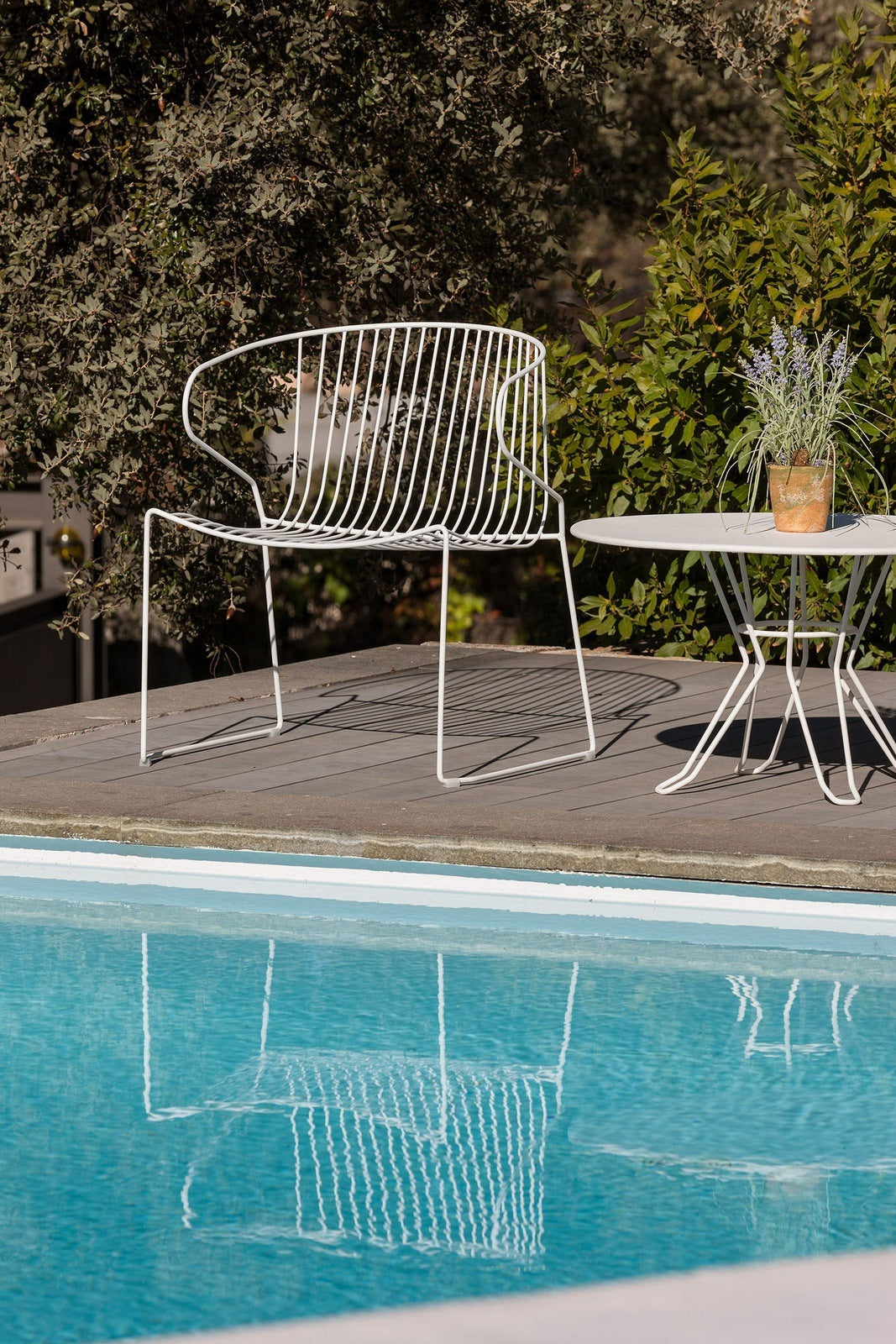 Bolonia Lounge Chair