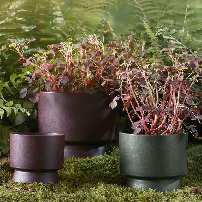 Recycled Flower Pots