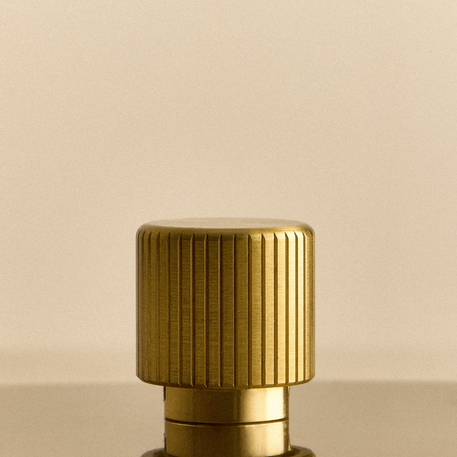 Tala Double Rotary Wall Dimmer in Brass — close-up of stainless steel faceplate