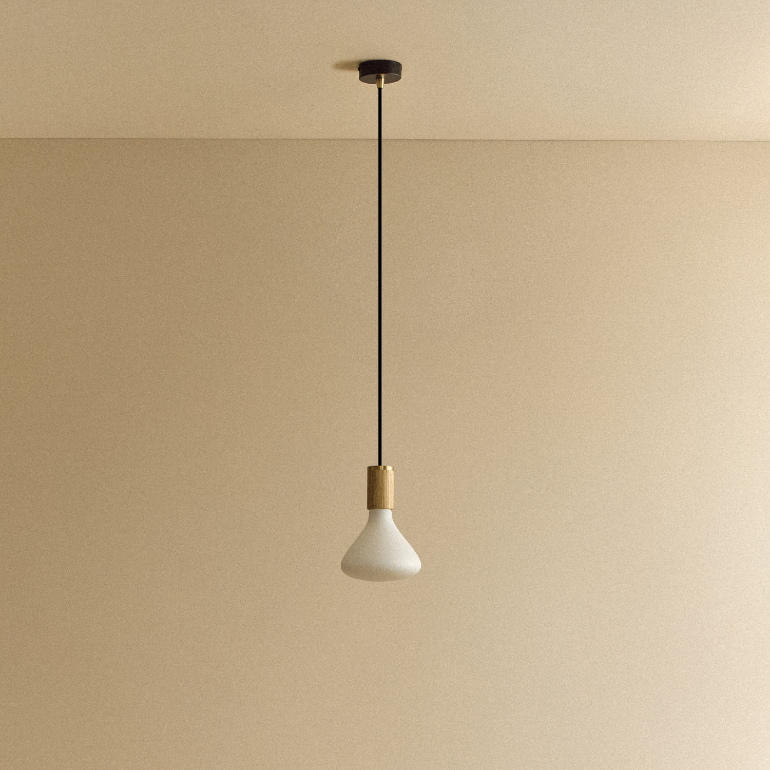 Noma Pendant Light in Oak by Tala — bulb and glass detail