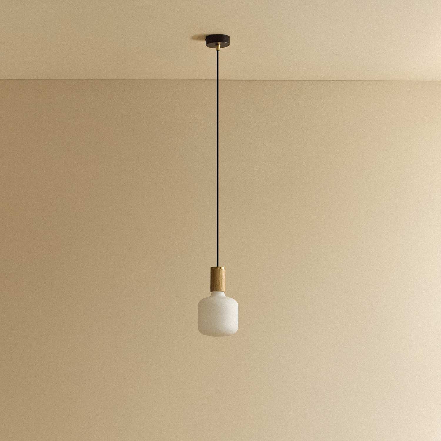 Oblo Pendant Light in Oak by Tala — bulb and glass detail