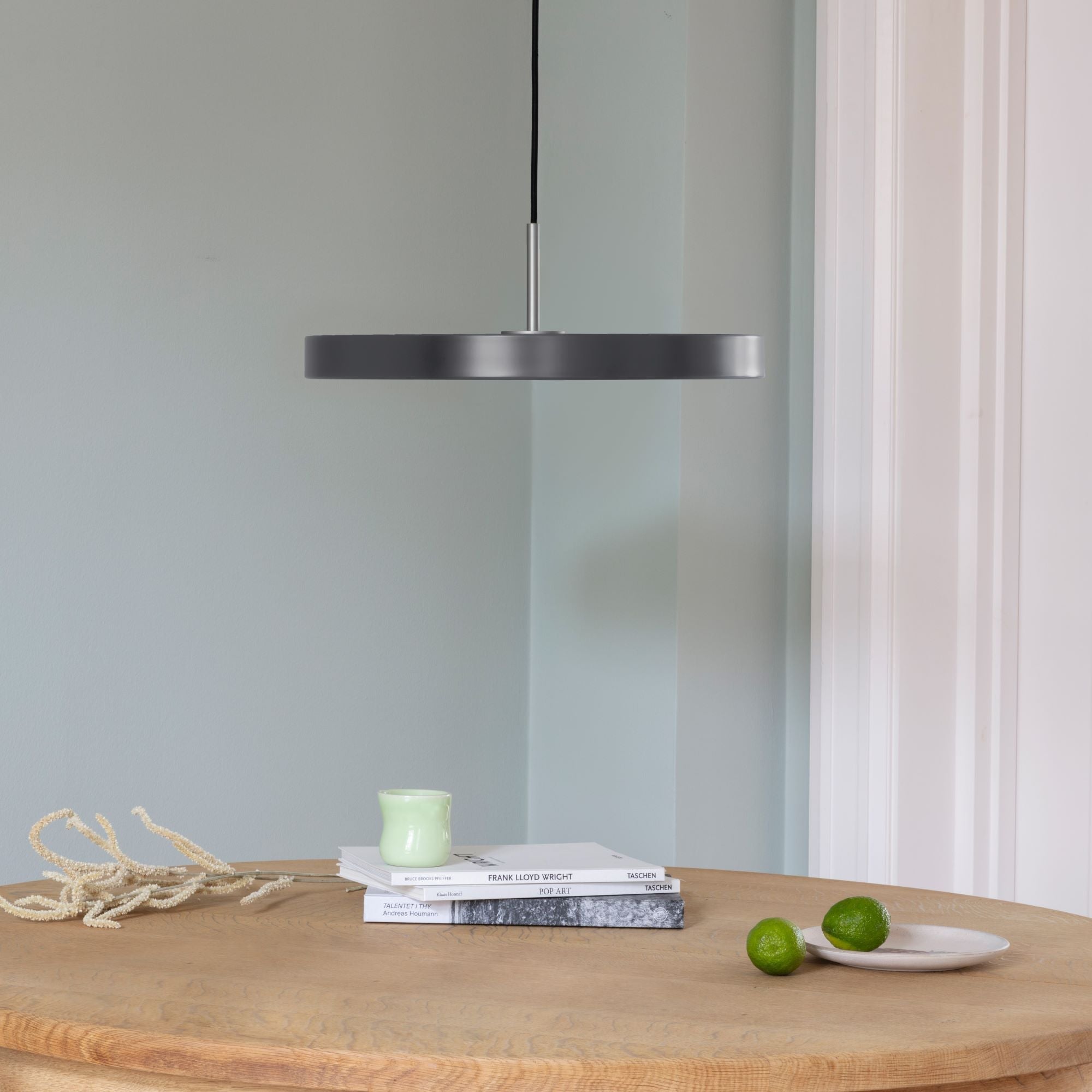 UMAGE Asteria Medium Pendant Lamp, Steel Details