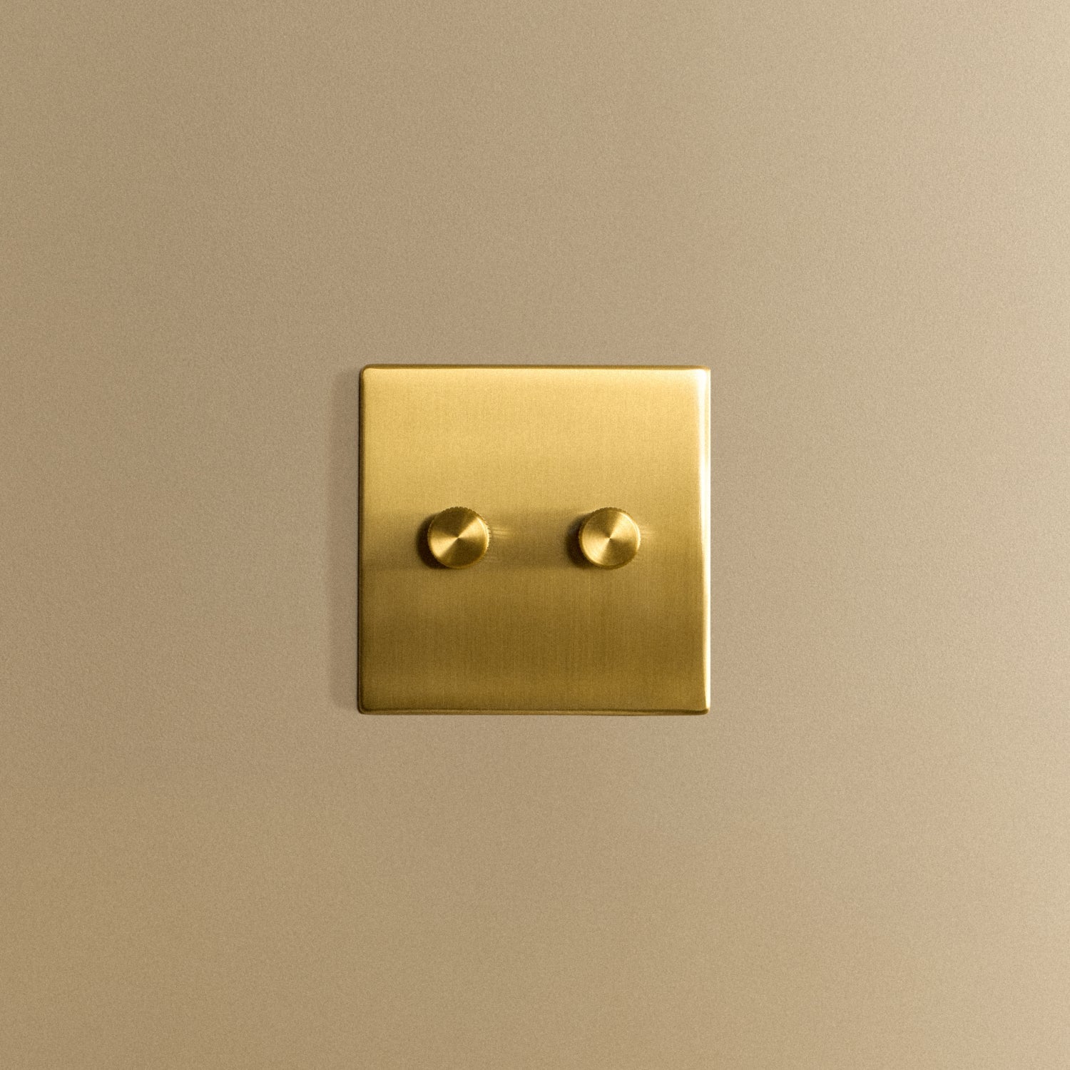Tala Double Rotary Wall Dimmer in Brass — angled view