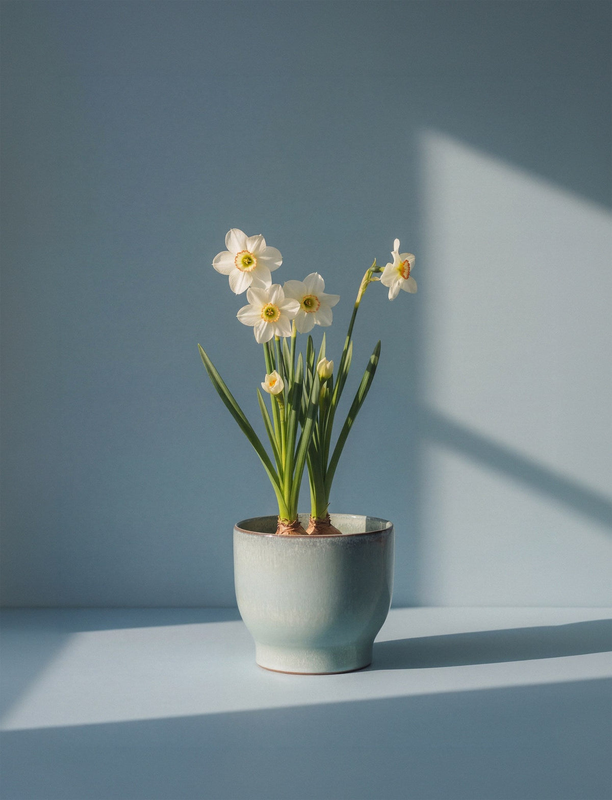 Knabstrup Flowerpot in mint, styled in an interior setting, glazed terracotta