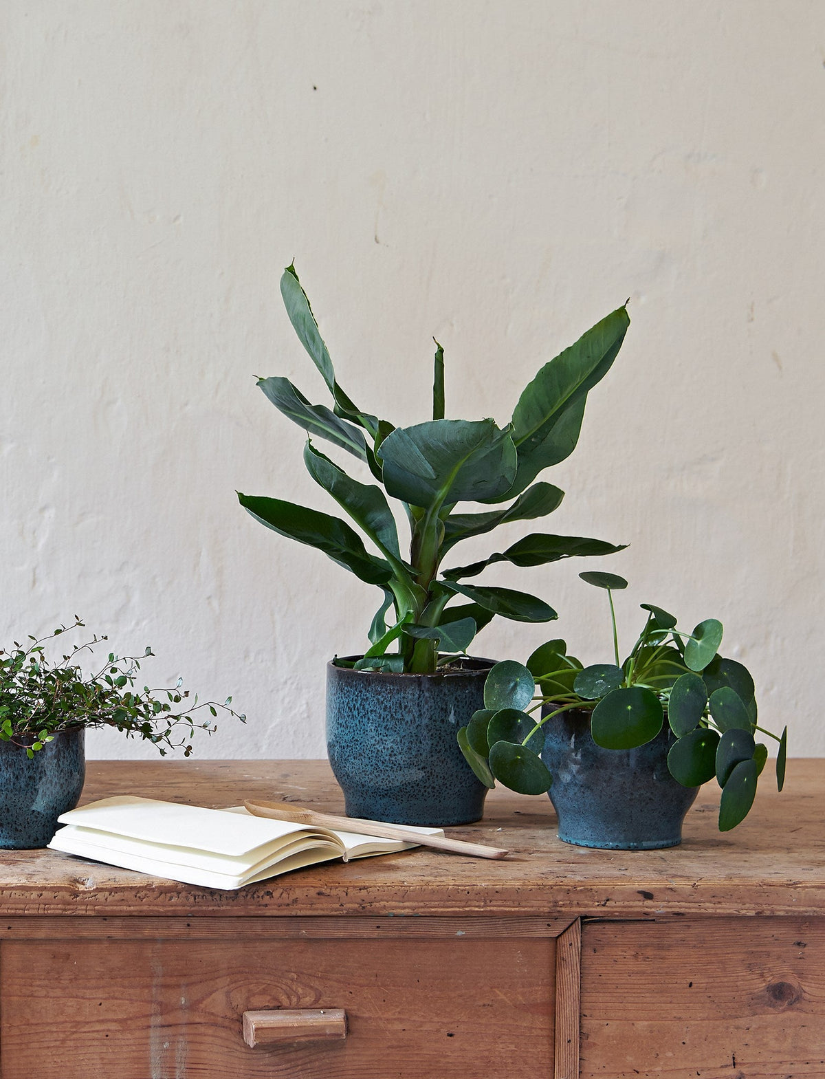 Knabstrup Flowerpot in ocean green, styled in an interior setting, glazed terracotta