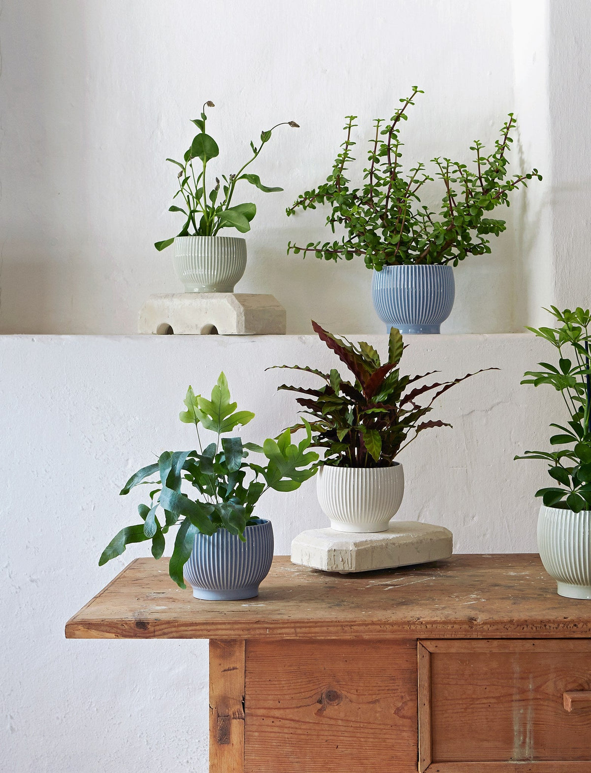 Knabstrup ripple flowerpots in several glazes, styled in an interior setting, glazed earthenware