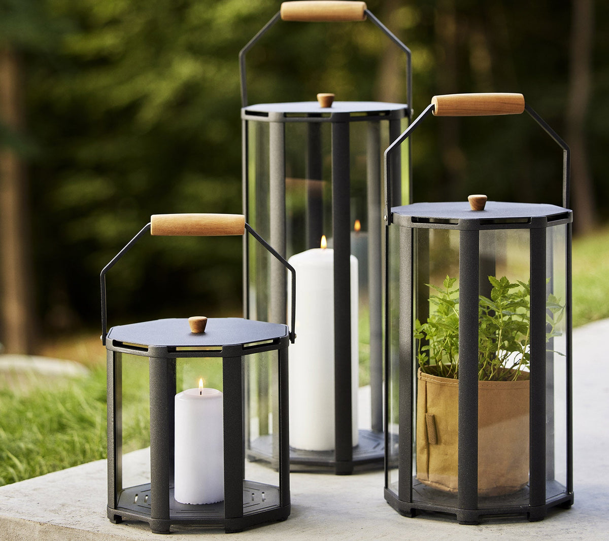 Cane-line Lightlux Lanterns in three sizes with candles and plants, aluminum and glass with teak handles